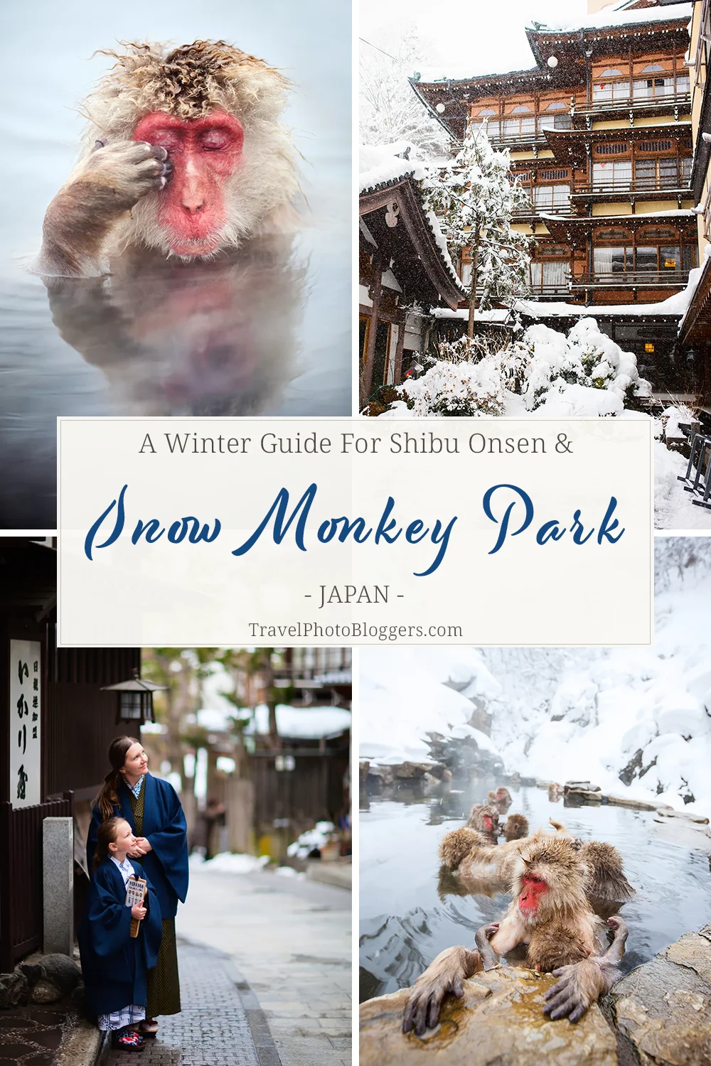 Jigokudani Snow Monkey Park: A Complete Winter Guide
