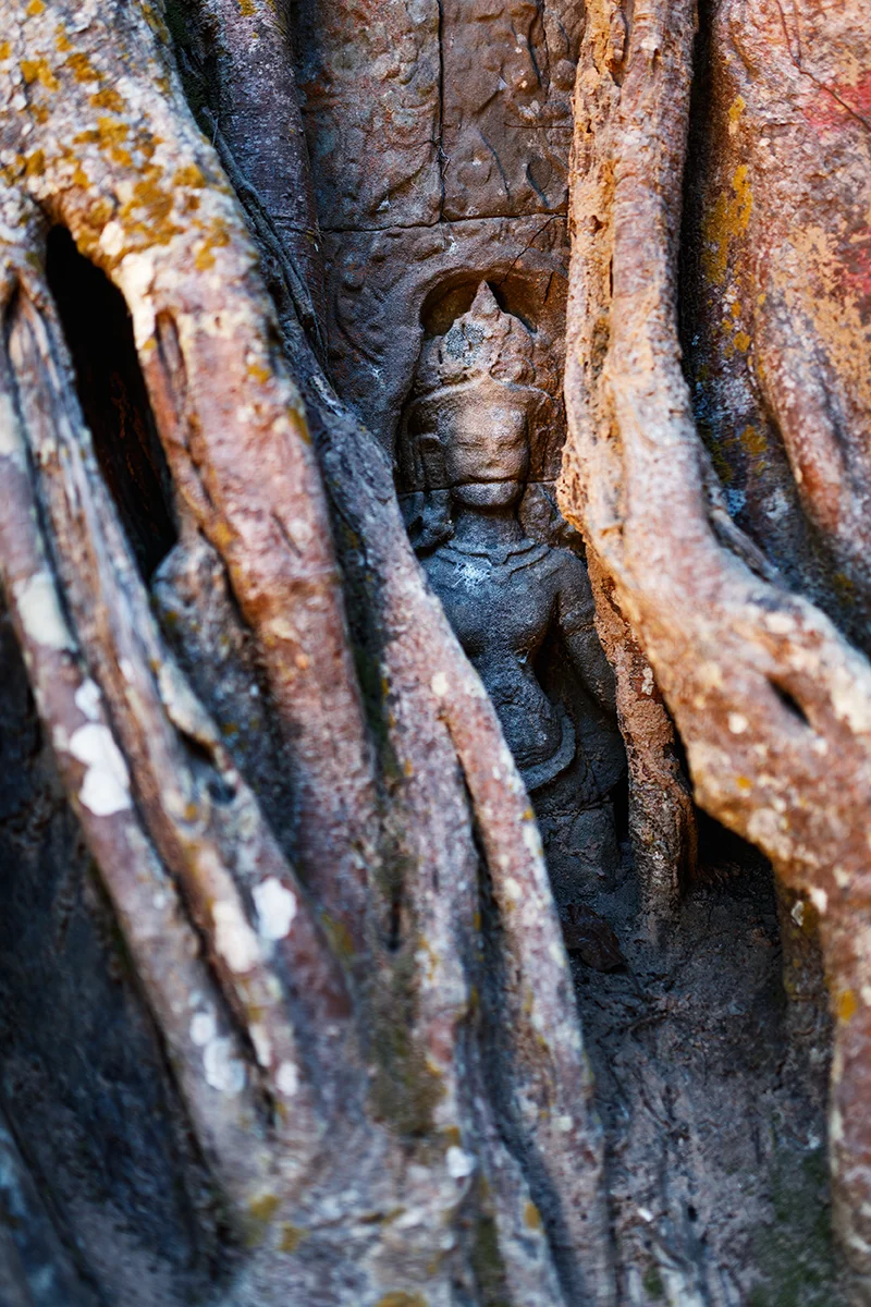 Stone devata partially hidden among tree roots at Ta Som temple in Angkor