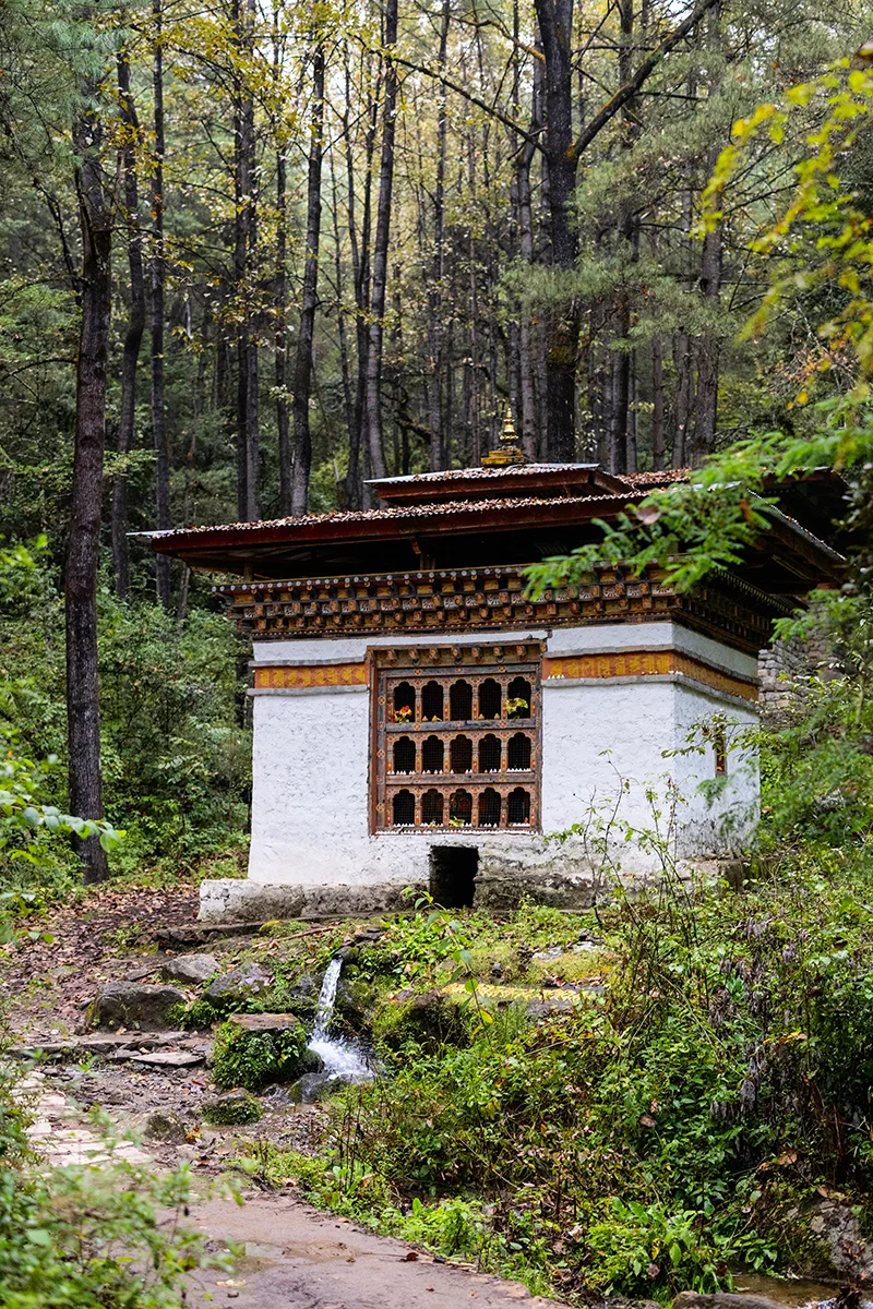 Traditional structure at forest on Tiger's Nest hike