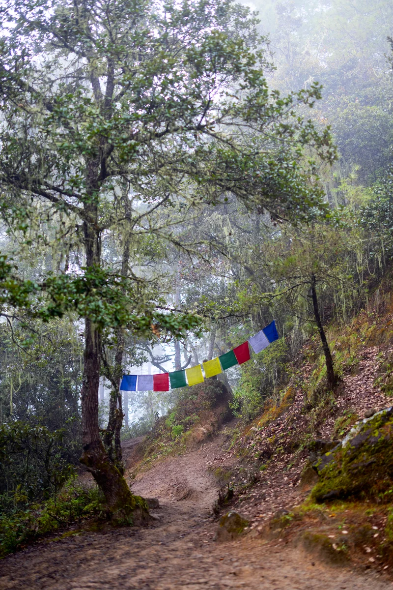 Misty path with colorful prayer flags
