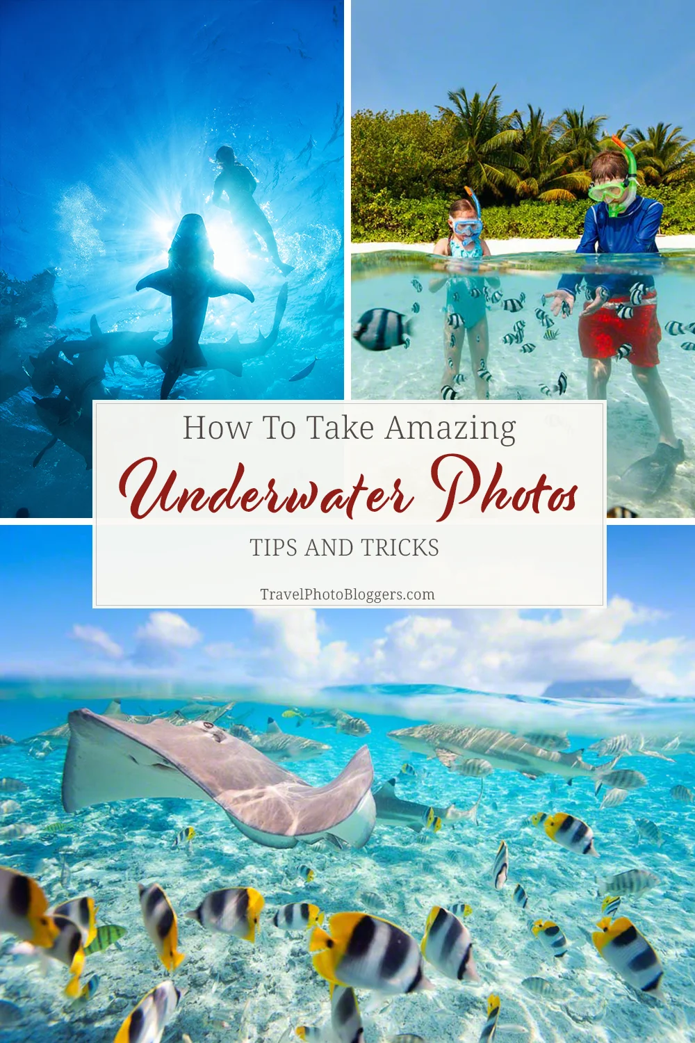 Underwater Photography Tips and Tricks